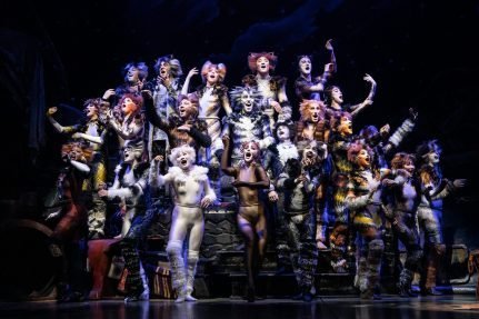 ‘Cats’ still wins us over